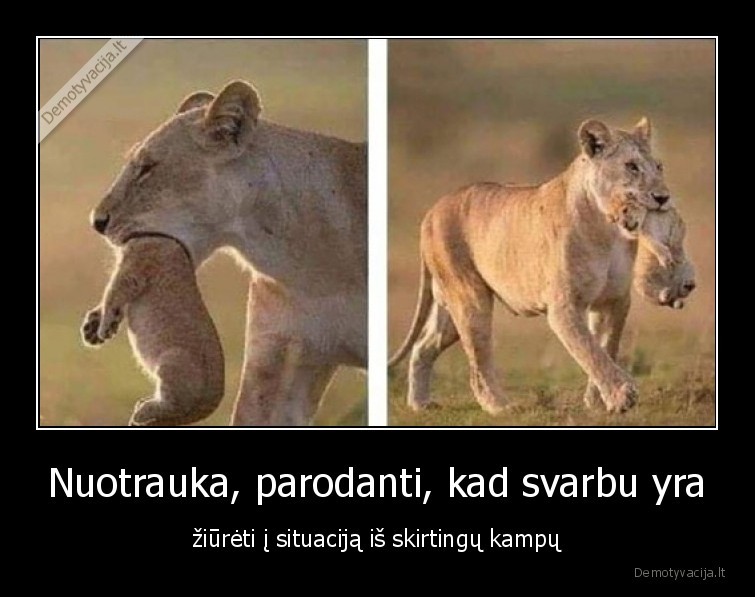 nuotrauka,kampas,liutas