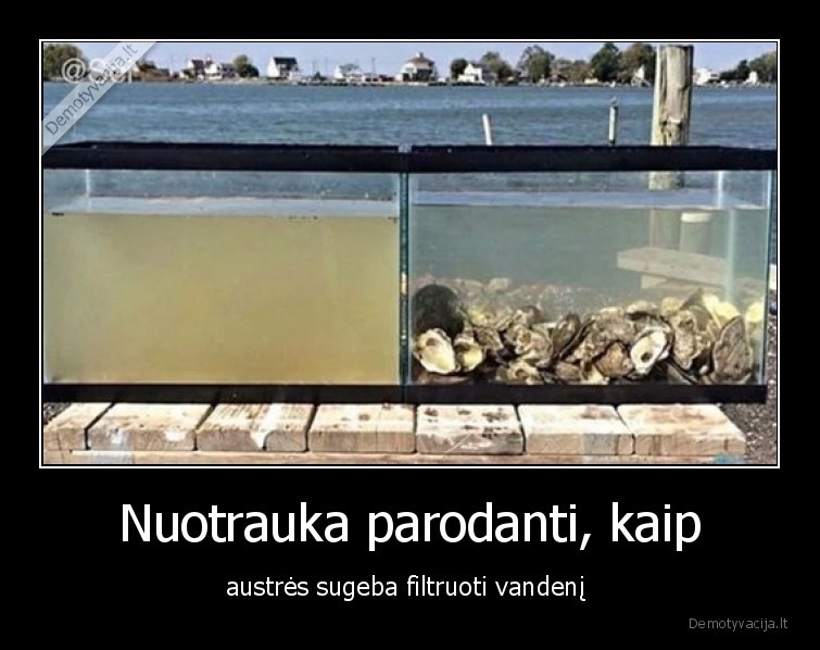 austres,vanduo,filtravimas