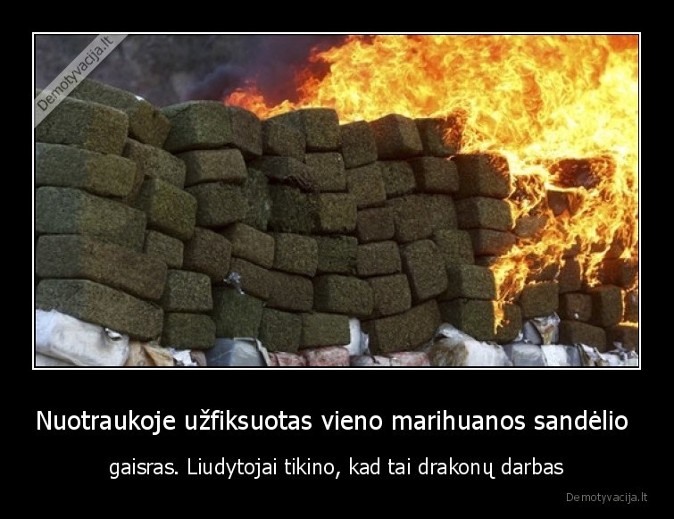 liudytojai,marihuana,gaisras,nuotrauka