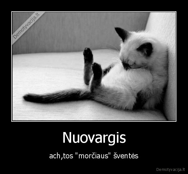 miega,katinas,morcius