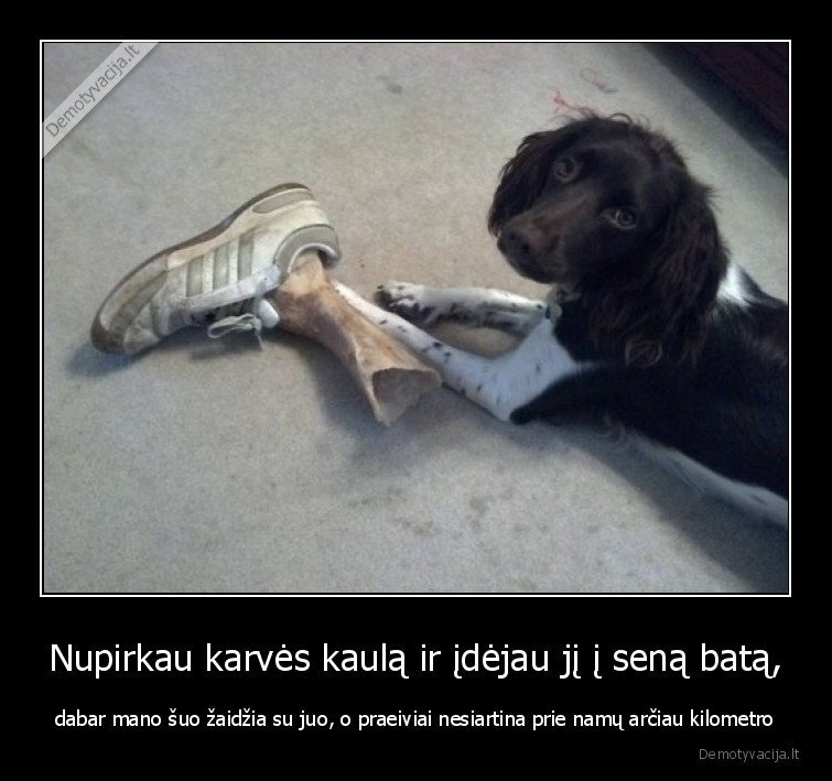 kaulas,suo,prankas,baime