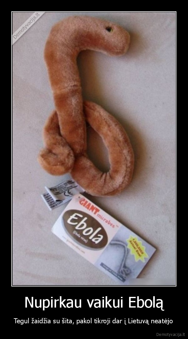 ebolos, virusas,juodas, humoras,pliusine, ebola