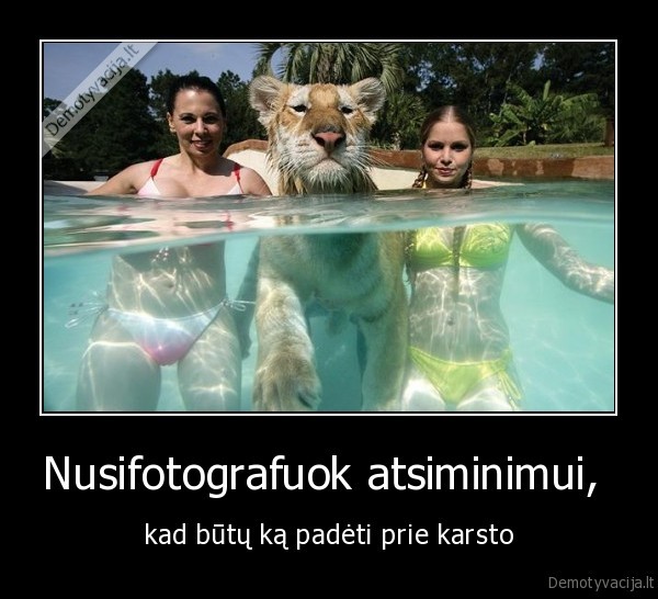 Nusifotografuok atsiminimui, 