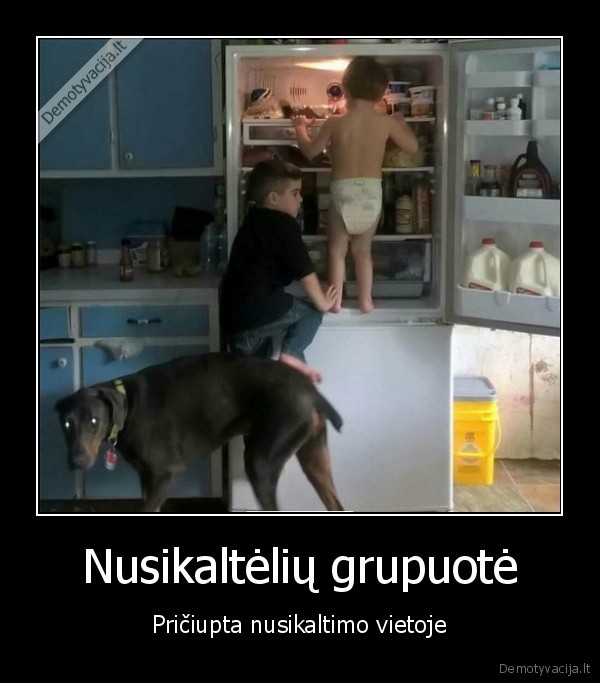 nusikalteliai,saldytuvas