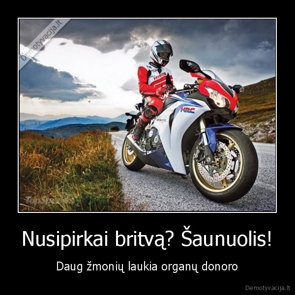 motociklas,honda, cbr,organai