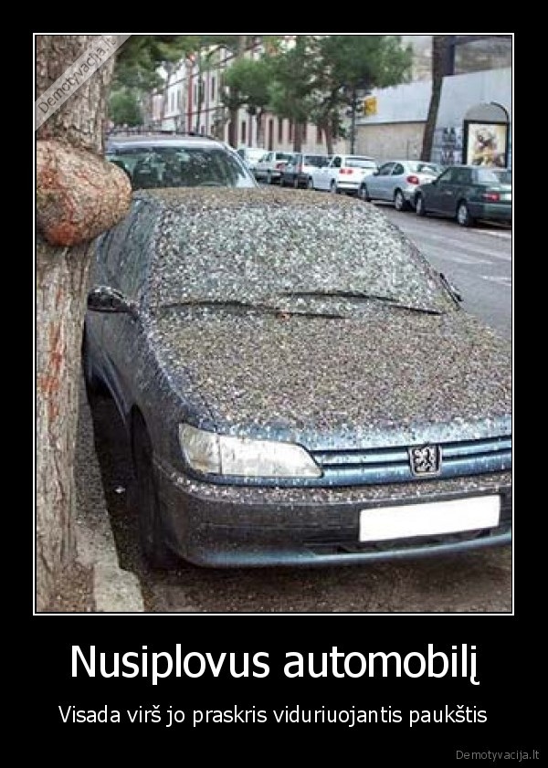 uzpiso, tie, pauksciai