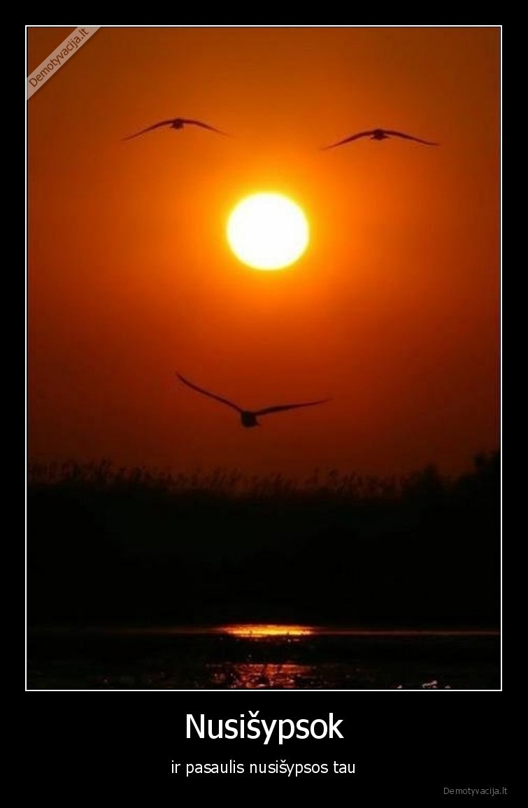 sypsena,pasaulis,saule,pauksciai