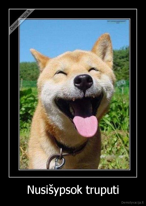 sypsena,linksma,zvengas