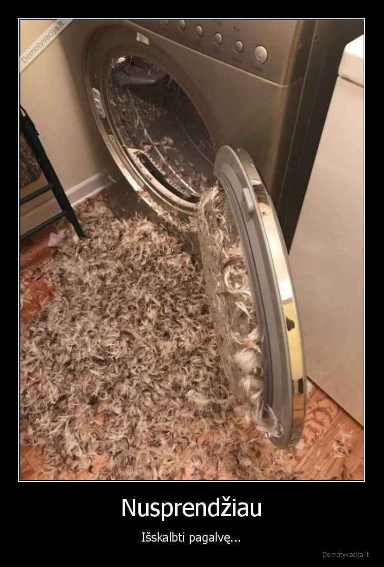 plunksnos,skalbimo, masina
