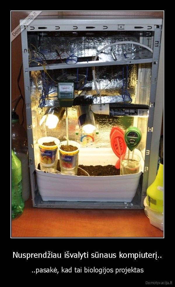 Nusprendžiau išvalyti sūnaus kompiuterį..