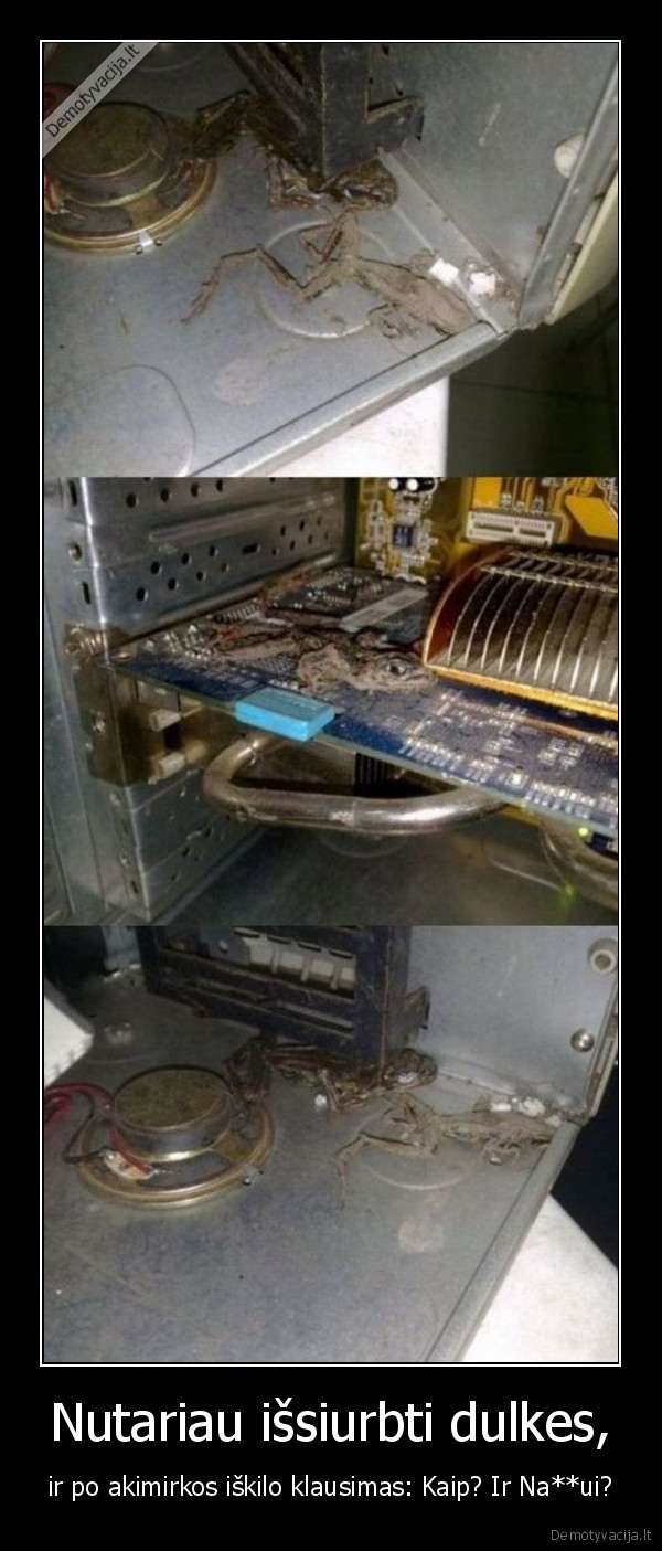 Nutariau išsiurbti dulkes,