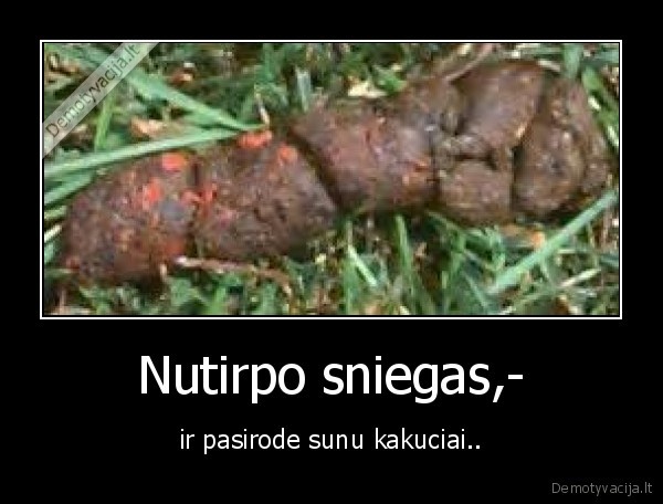 Nutirpo sniegas,-