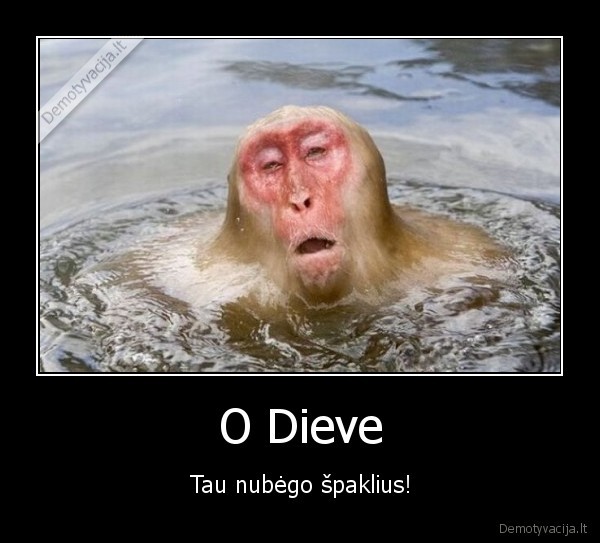 O Dieve