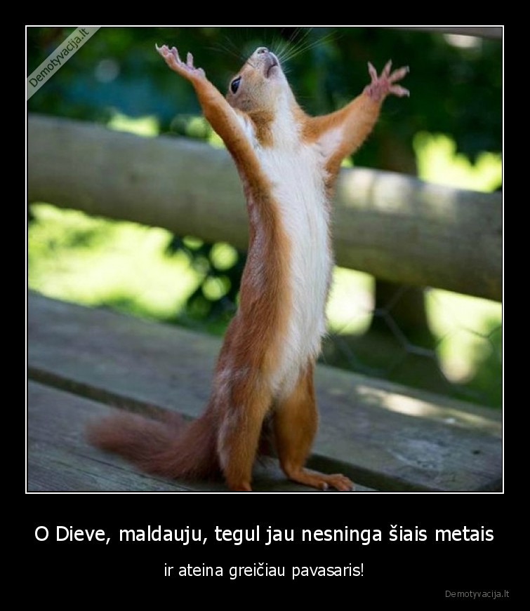 pavasaris,dieve,malda
