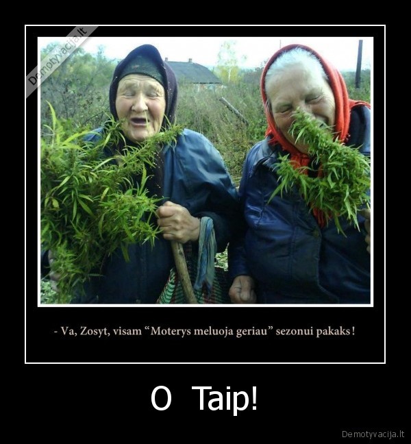 O  Taip!