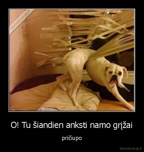 O! Tu šiandien anksti namo grįžai