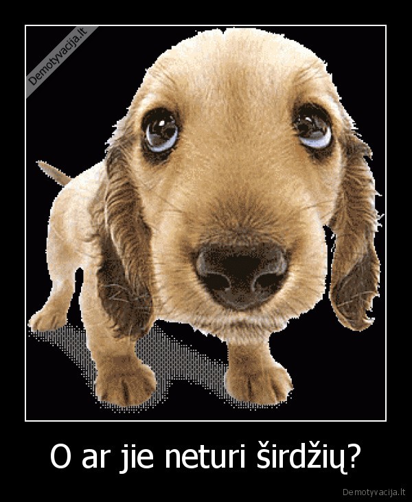 O ar jie neturi širdžių?