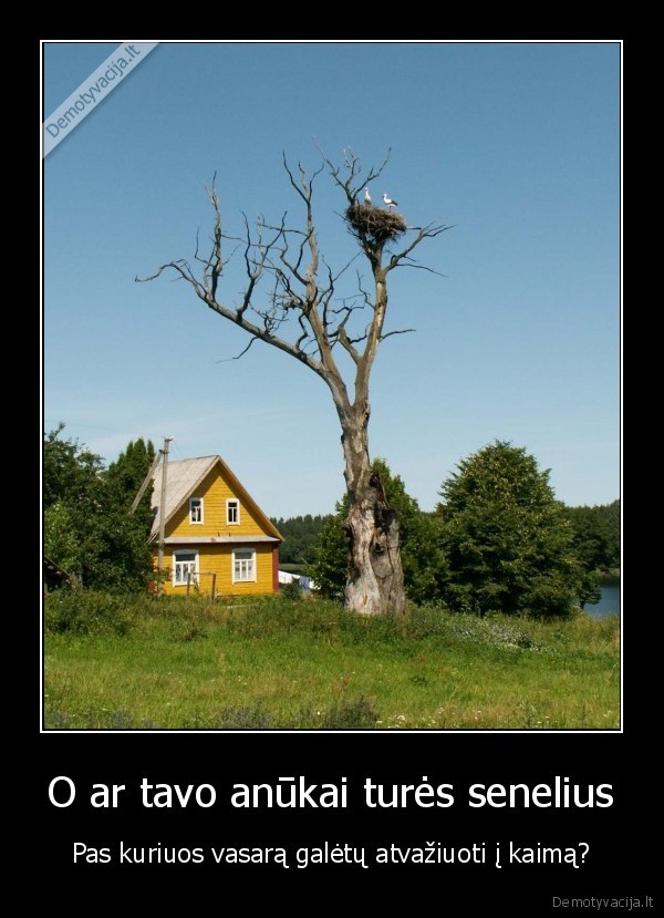 O ar tavo anūkai turės senelius