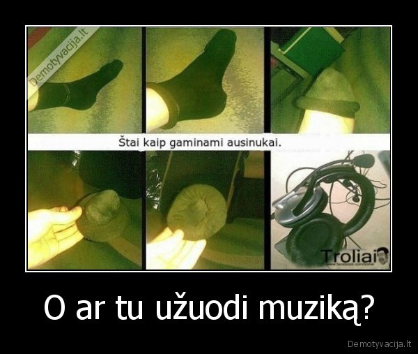 ausines,kojines,muzika