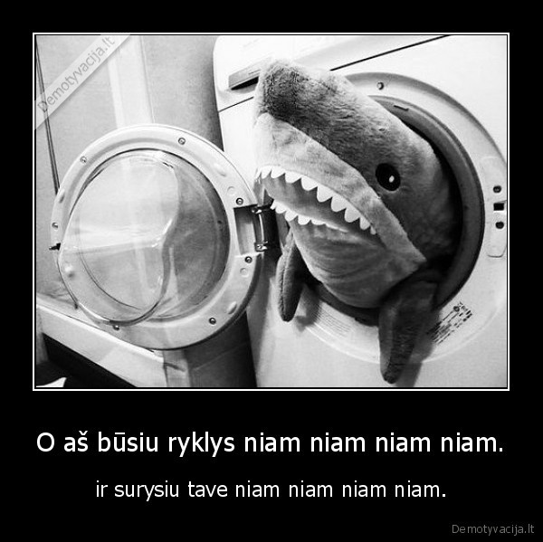 O aš būsiu ryklys niam niam niam niam.