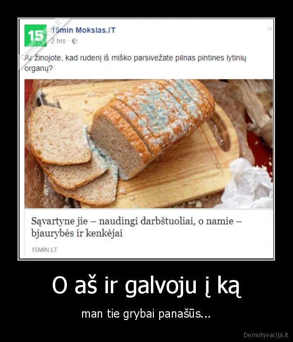 grybai,lytiniai, organai,wtf