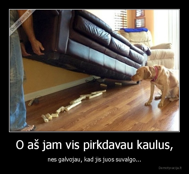 kaulai,suvalgo,tikejausi,suo,slepia