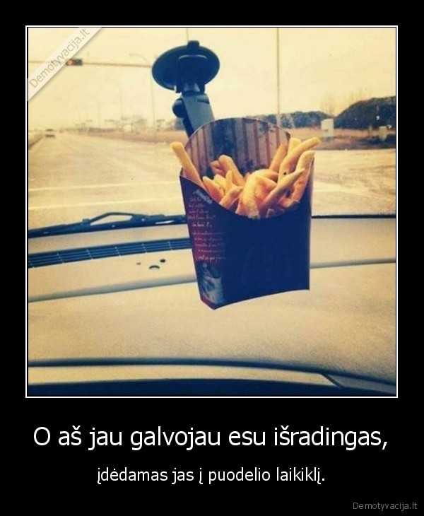 buvlytes,laikiklis,isradimas