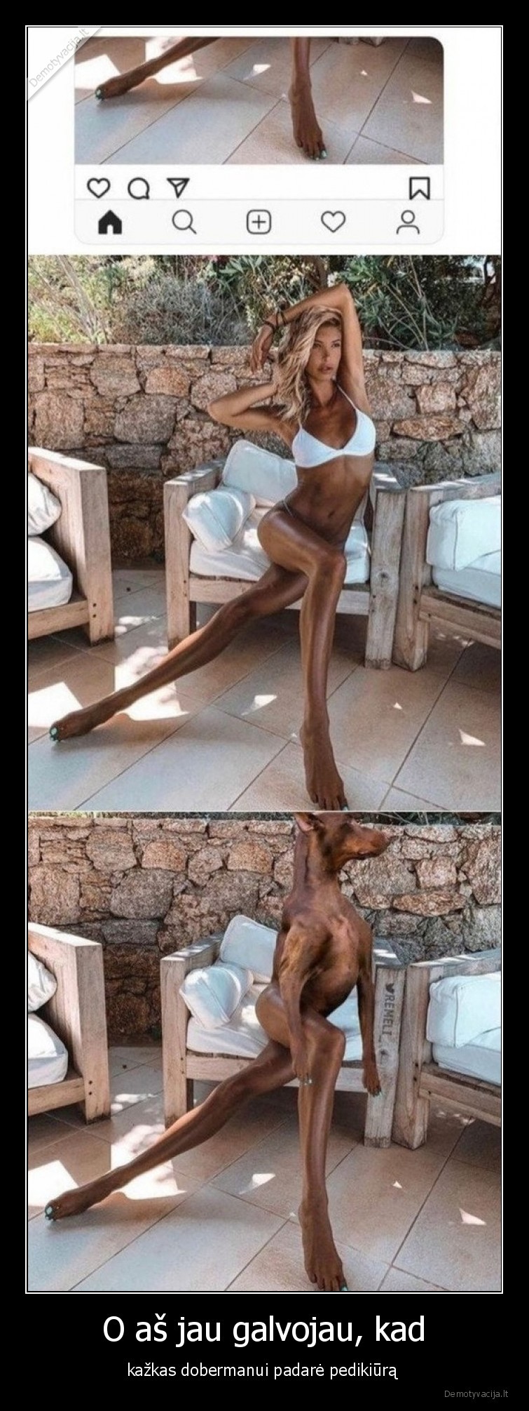 dobermanas,pedikiuras,moteris,modelis