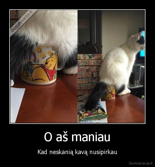 katinas, ant, puoduko,kavos, puodelis