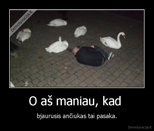 pasakos,bjaurusis, anciukas,gulbes