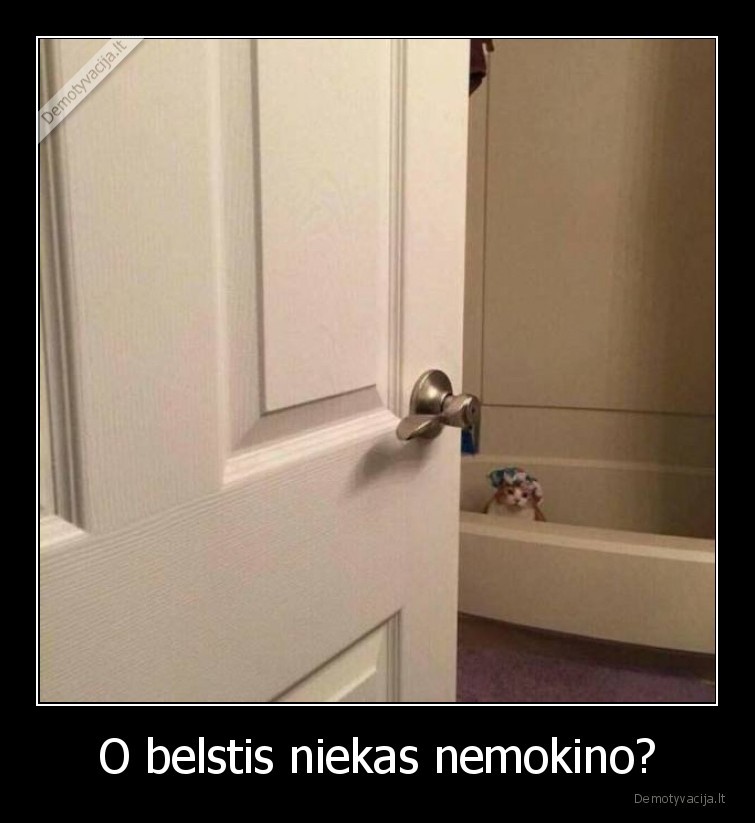 belstis,nemokino,katinas,dusas