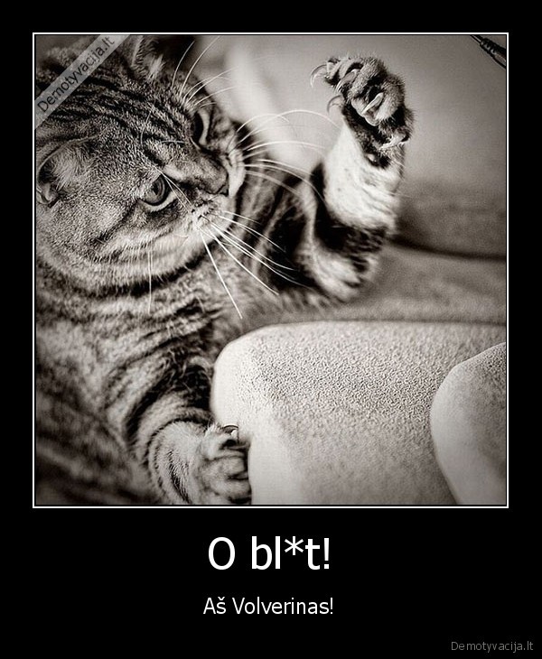 wolverine,volverinas,xmenai,juokinga, kate