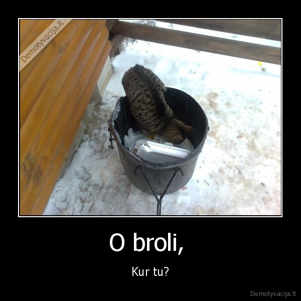 O broli, 