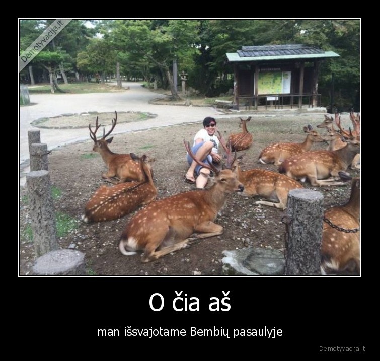 bembis,pasaulis,issvajotas