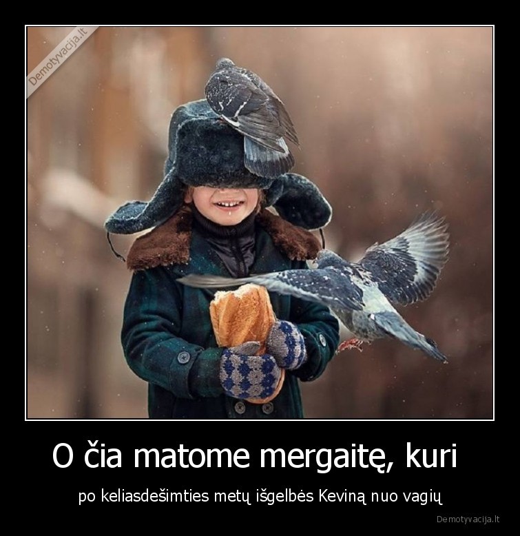 kevinas,vienas, namuose,balandziai,boba, su, balandziais