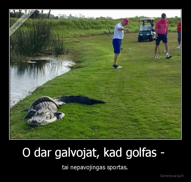 sportas,golfas,aligatorius,gyvate