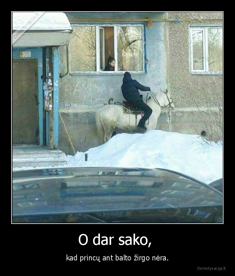 princas,baltas, zirgas,wtf