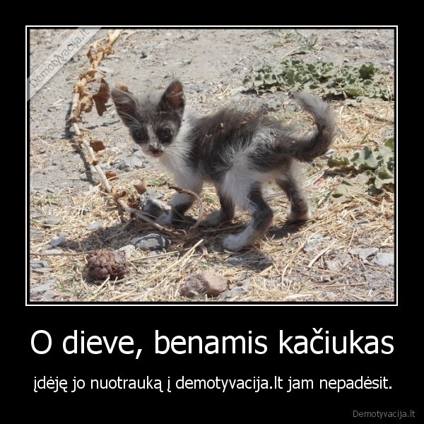 graudzios, demotyvacijos, uzkniso, juodai