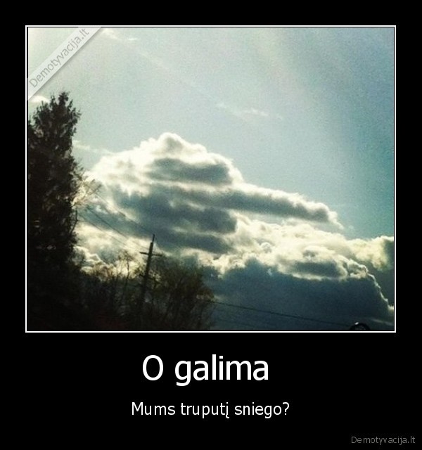 sniegas,dangus,spyga