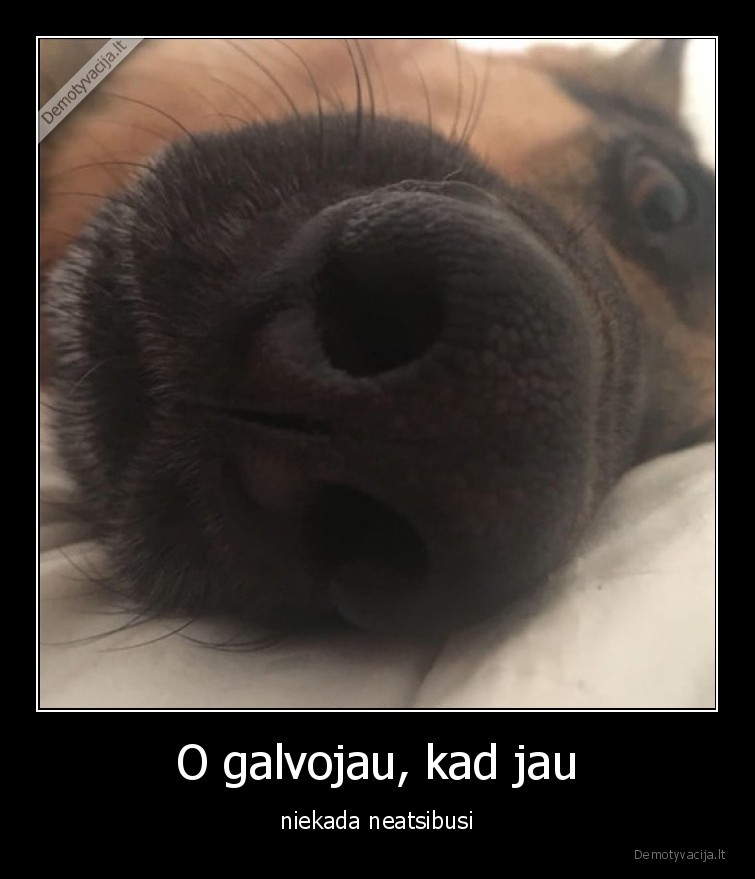 atsibusti,suo,rytas,labas