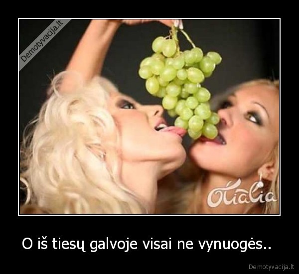 O iš tiesų galvoje visai ne vynuogės.. 