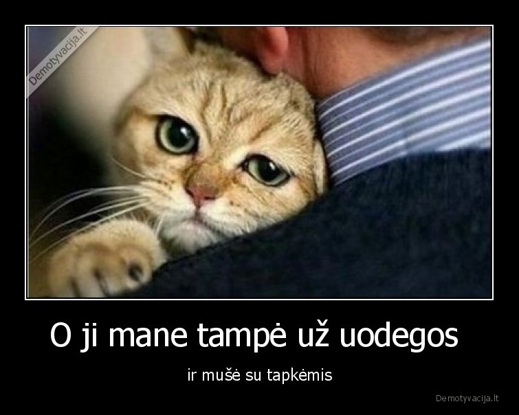 katinas,tapkes,skundziasi