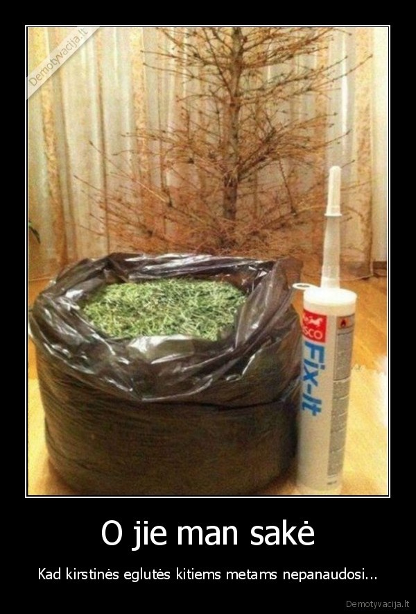 puzle,delione,eglutes, spygliai