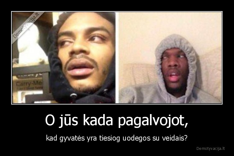 gyvate,high,uodega,veidas