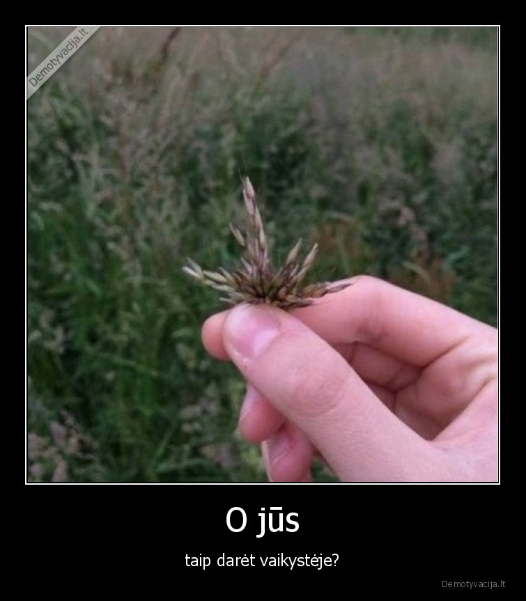 vaikyste,laukas,zole