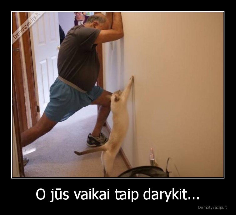 jurgelis,meistrelis,katinas