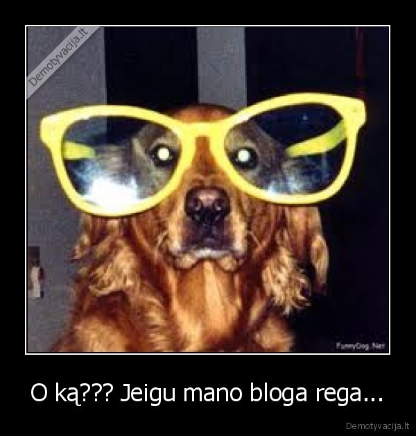 O ką??? Jeigu mano bloga rega...