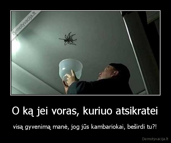 kambariokai, su, voru,uzmuse, vora