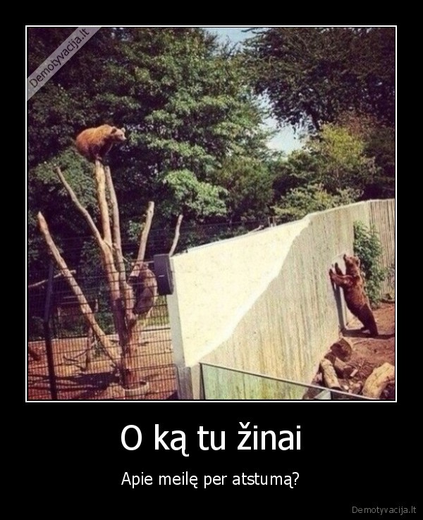 meile, per, atstuma,lokiai,meskos