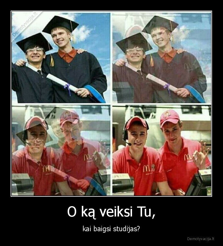 studijos,mokslai,universitetas,darbas,mcdonalds